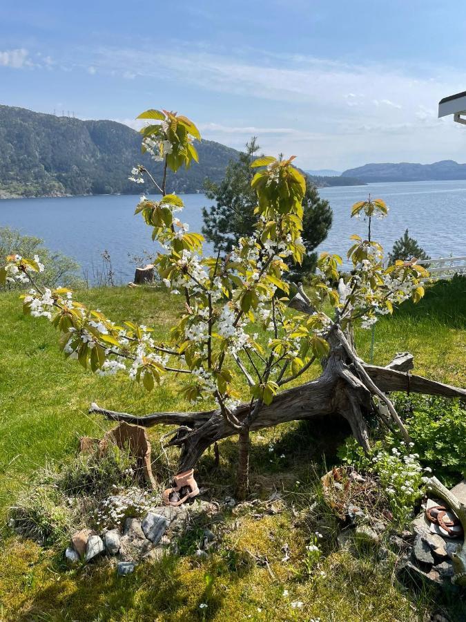 Langenuen Motel & Camping Stord Esterno foto